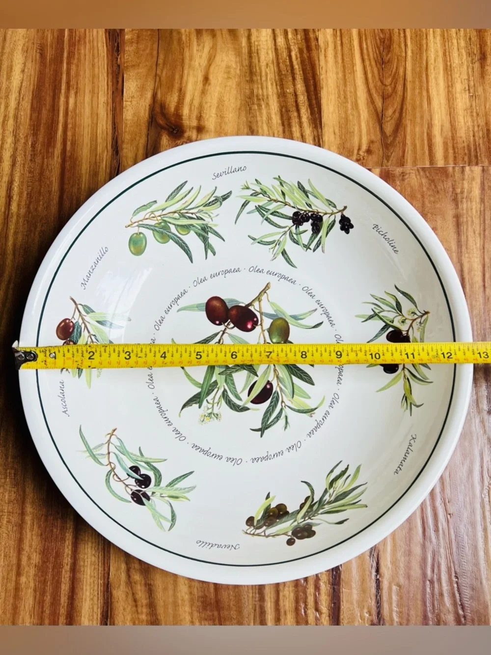 RETIRED Williams-Sonoma Olea Europaea Olive Pattern 13